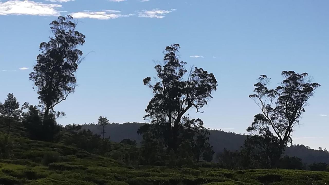 The Paul Woods Hotell Nuwara Eliya Eksteriør bilde